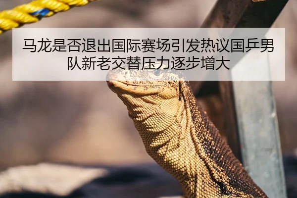 马龙是否退出国际赛场引发热议国乒男队新老交替压力逐步增大