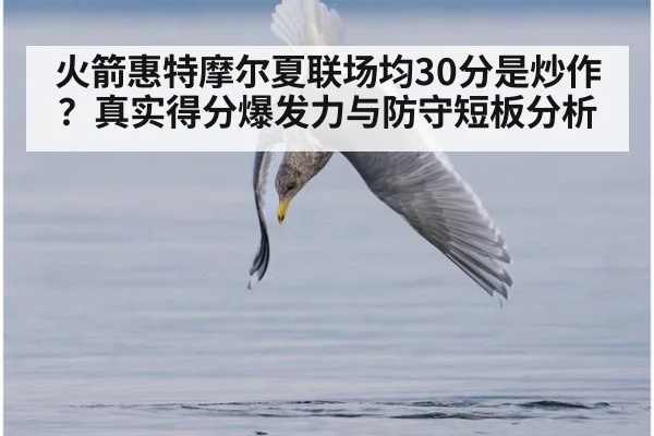 火箭惠特摩尔夏联场均30分是炒作？真实得分爆发力与防守短板分析
