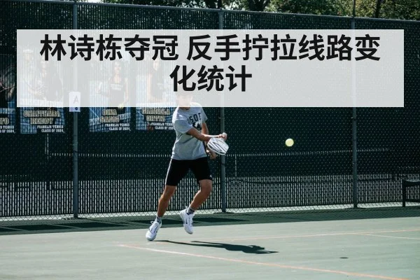 林诗栋夺冠 反手拧拉线路变化统计