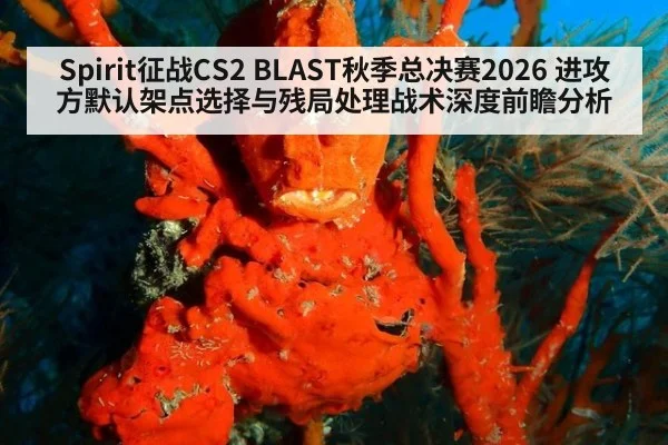 Spirit征战CS2 BLAST秋季总决赛2026 进攻方默认架点选择与残局处理战术深度前瞻分析